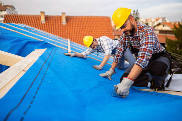 Best Roof Gutter Cleaning  in Glenwood, GA